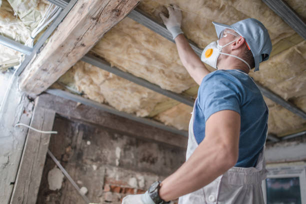 Best Cellulose Insulation in White Center, WA